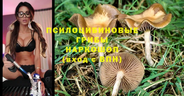 прущие крисы Абаза