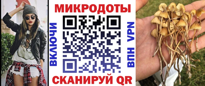 Псилоцибиновые грибы Magic Shrooms  купить наркоту  Алейск 